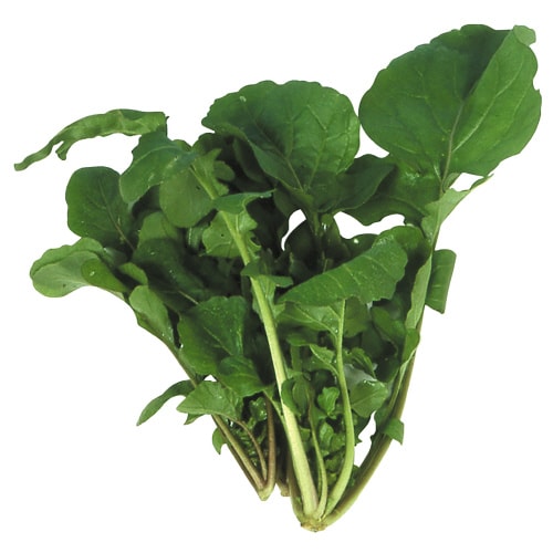 ルッコラ 0.5mL 小袋