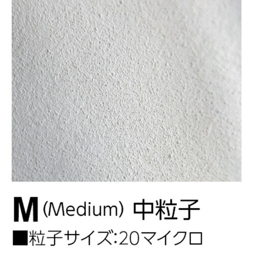 シュレイパージェッソ M 中粒子 白 450ml