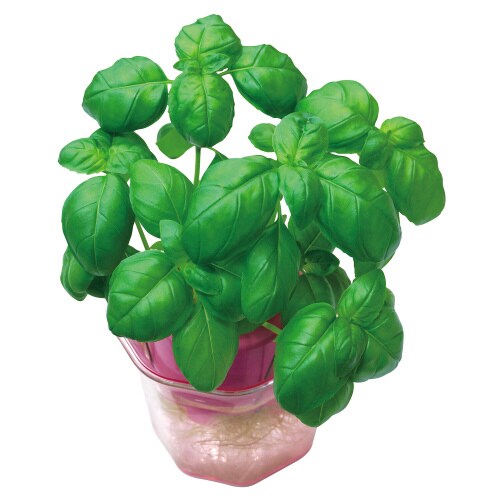 バジル 0.5mL 小袋