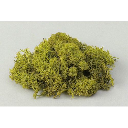 アイスランドモススプリンググリーン