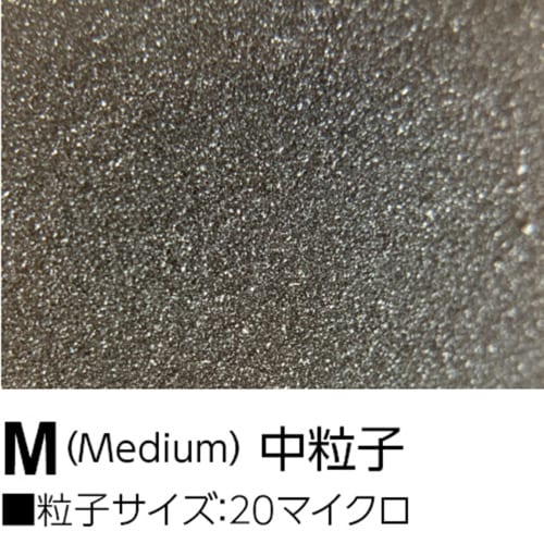 シュレイパージェッソ M 中粒子 透明 1200