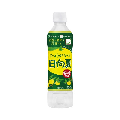 ニッポンエール宮崎県産日向夏500g24本