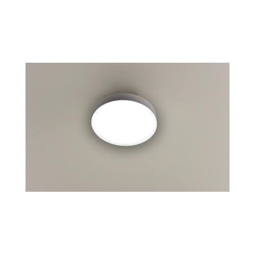 LEDミニシーリングライト60W相当 昼白色