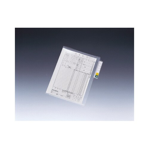 カルテフォルダーP.P.ポケット縦型 200枚×2