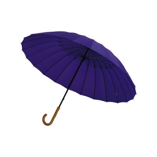 超軽量24本骨傘 江戸桔梗