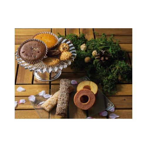 森の焼き菓子 芽吹き