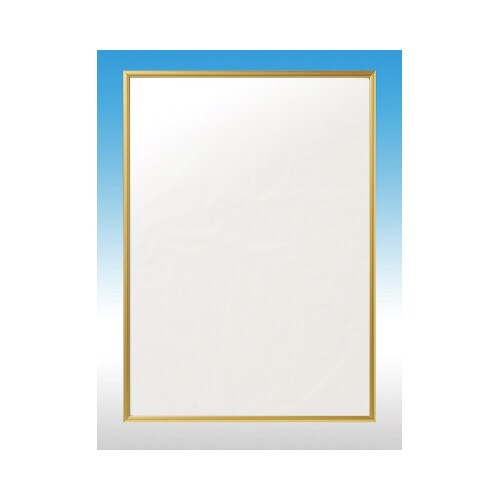 ラクパネA2ゴールド 5枚