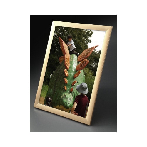 ワイド30B1ゴールド 5枚