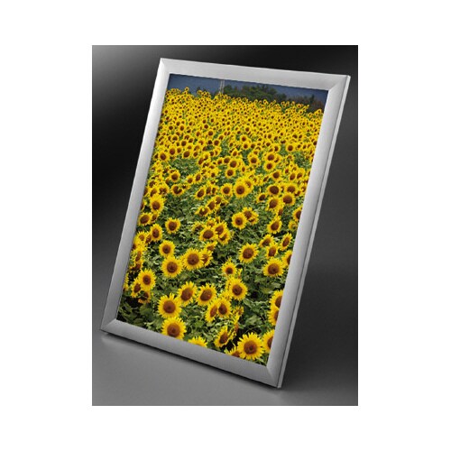 ワイド30 B1シルバー 5枚