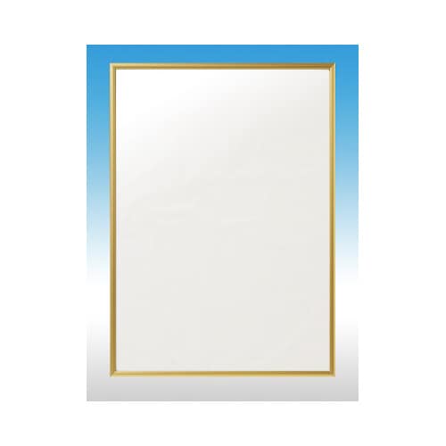 ラクパネA3ゴールド 5枚