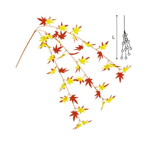 もみじ3本シダレ