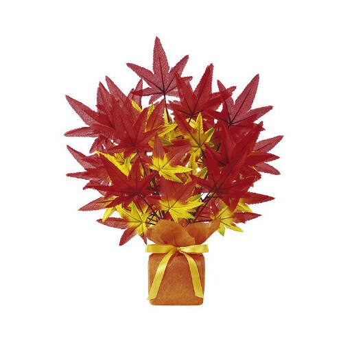 もみじローコストポット