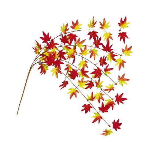 もみじエコシダレ