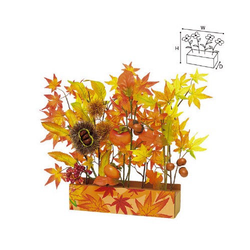 もみじ味覚プランター