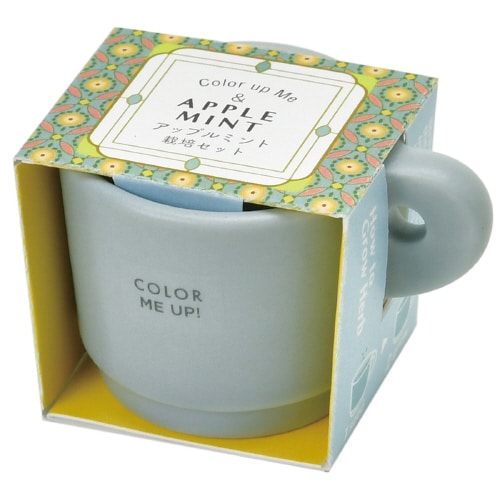 カラーミーアップマグ