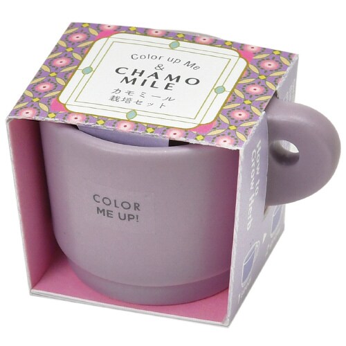 カラーミーアップマグ