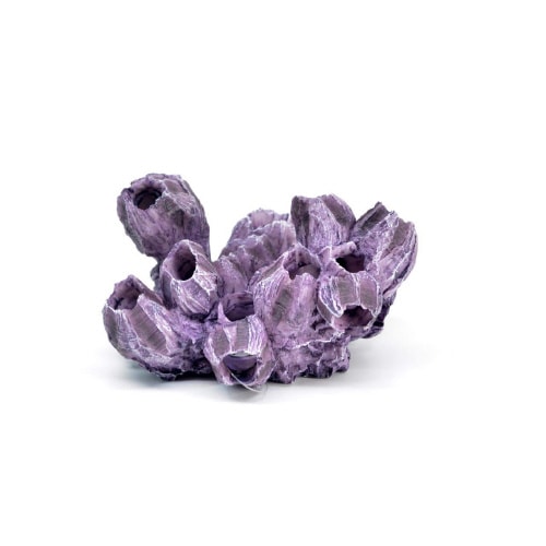 レプリカサンゴ