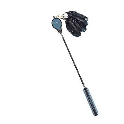 ねこじゃらしDX