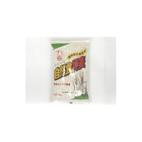 日本精麦 かもめ 押麦 1Kg ×10
