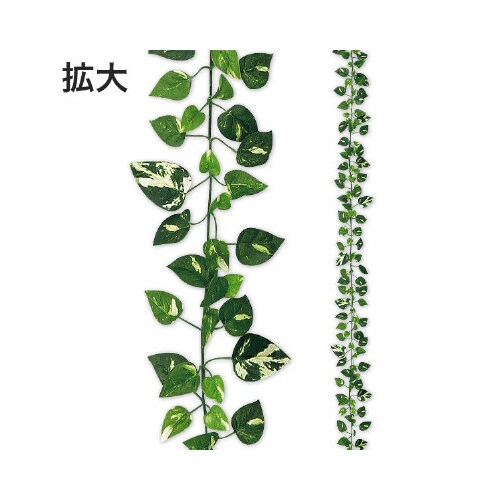 ニューポトスガーランド