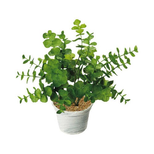 ユーカリポット