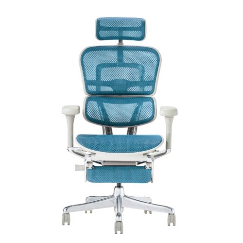 エルゴヒューマンプロ2 LPL−GF−BL