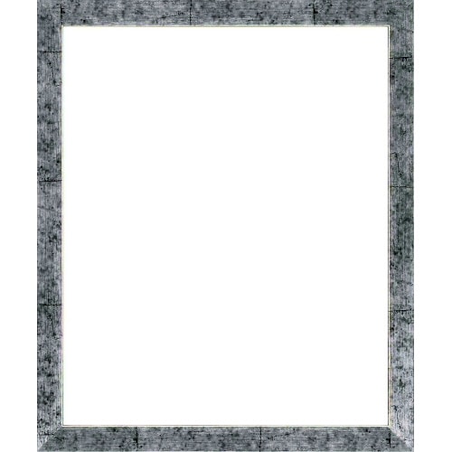 5698 太子 銀柄紋