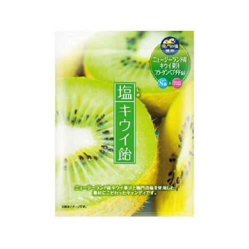 加藤製菓 塩キウイ飴 58gx10