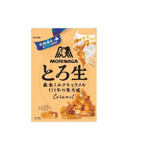 森永製菓 とろ生キャラメル 60g x8