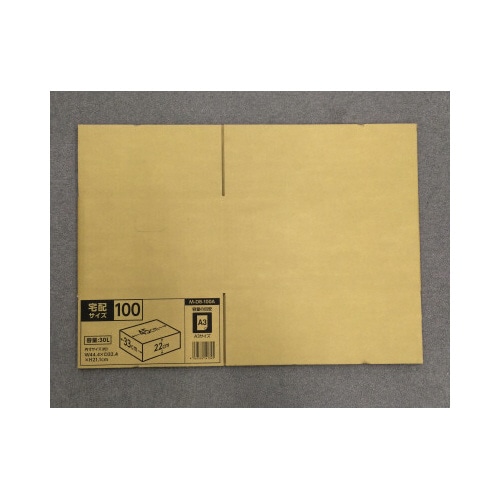 ダンボール 100A 30L (10枚入)