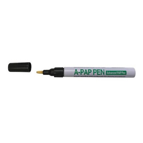 A−PAP Pen レギュラー 本体