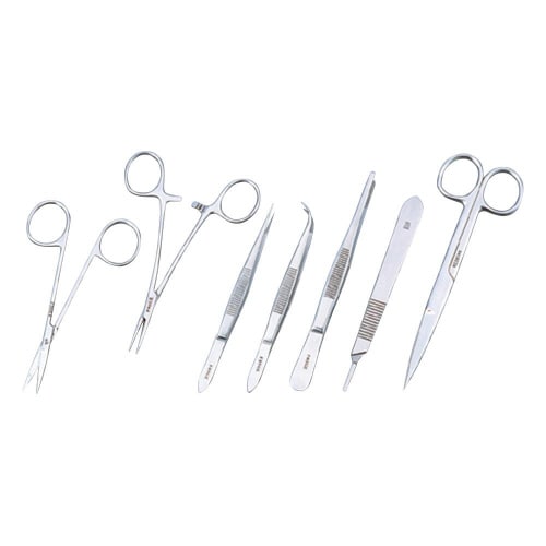 小動物解剖セット 小