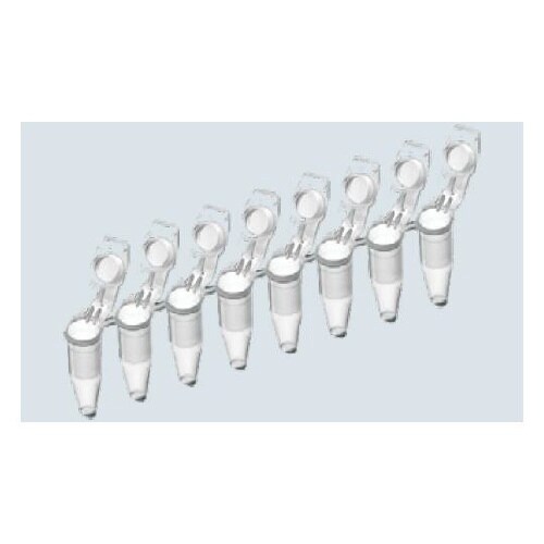 PCRチューブ 0.2mL 8連x120