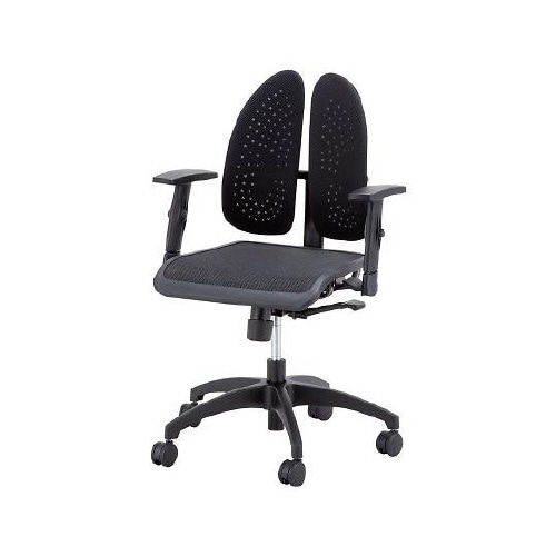 WR−920R肘掛け付き バック楽チェア