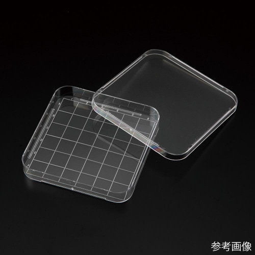 ビオラモスクエアペトリディッシュ VSD