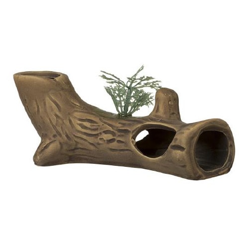 新やどり木 ミニ D−24