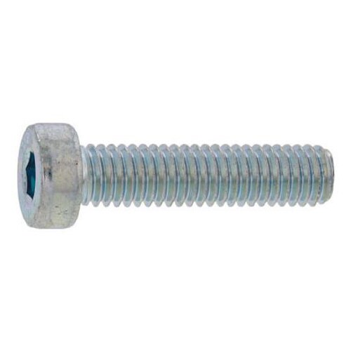 ローヘッドCAP 10×16 (10本入