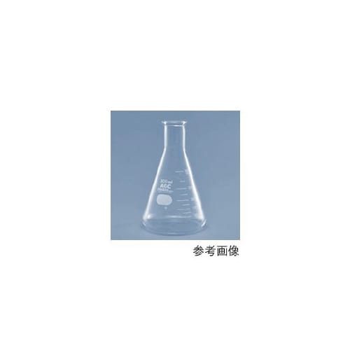 三角フラスコ 4980FK200