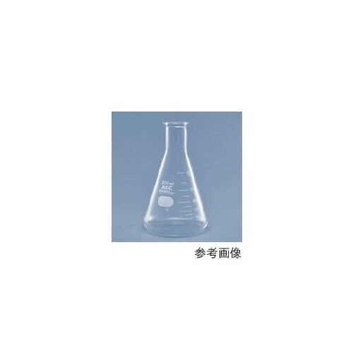 三角フラスコ 4980FK300