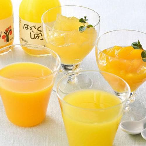 和歌山 伊藤農園 柑橘ジュース&寒天ジュレセット