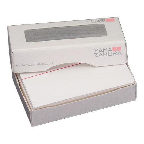 名刺用紙 4号 線入 赤線 100枚