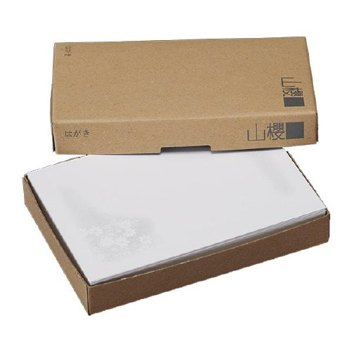 弔事はがき 淡菊 100枚