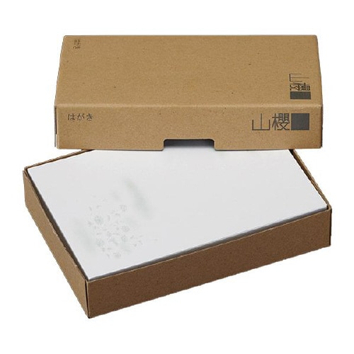 弔事はがき 偲ぶ菊 100枚