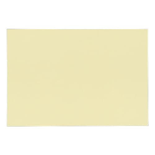 賞状用紙 B4ワイド クリーム 無地 100枚