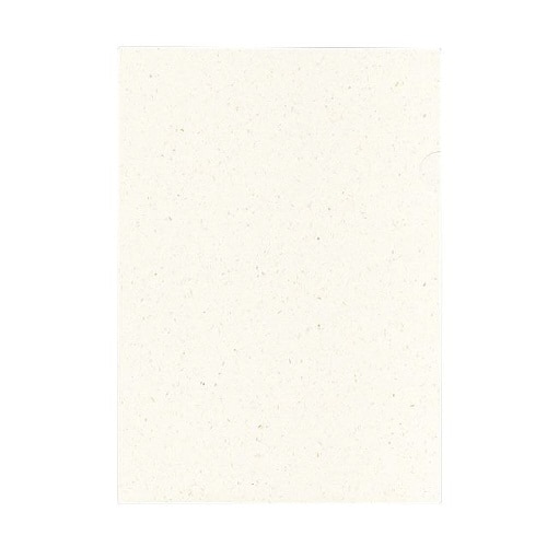 紙製ホルダー 厚手 東北コットン 100枚