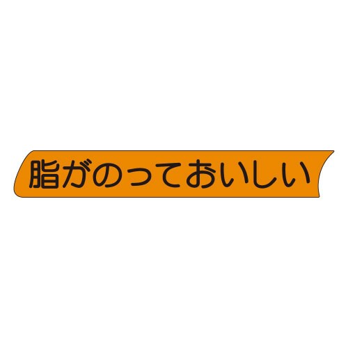 脂がのっておいしいS0148 500枚入×5冊