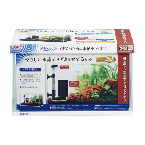 メダカ元気メダカの水槽セット300