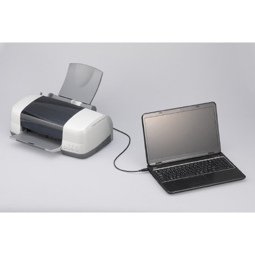 USBケーブル (AtoB) 5m アイボリー