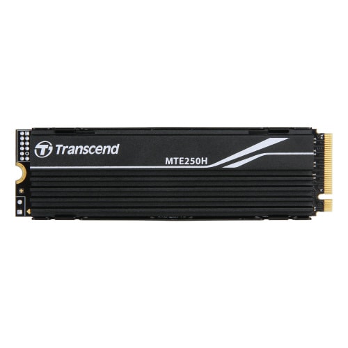 PCIe SSD2TMTE250H