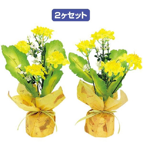 菜の花ペアラッピング